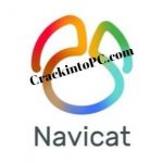 Navicat Premium 16.0.7 Crack With Registration Key Full Version 2022 Download