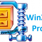 WinZip Pro 24 Crack With Activation Code Full Version Download [32/64 Bit] [2020]