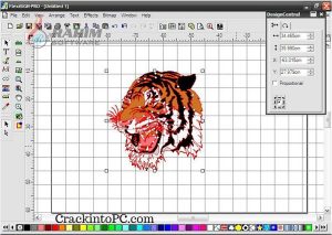 flexisign pro 8.1 v1 free download for windows xp flexisign pro 8.1 v1 free download for windows xp
