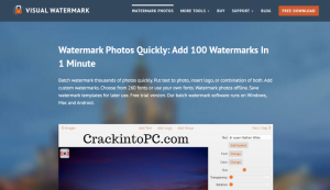 visual watermark 4.63 crack
