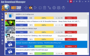 download Ant Download Manager Pro 2.10.4.86303