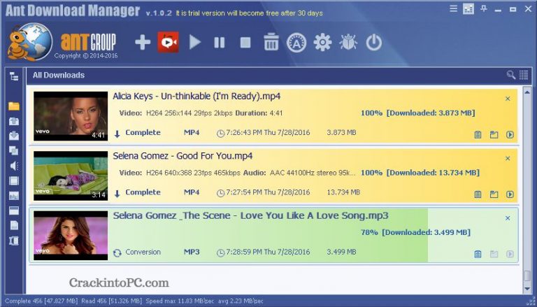 Ant Download Manager Pro 2.10.3.86204 download the last version for windows